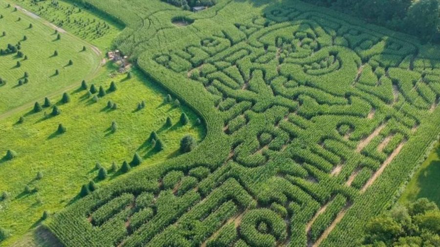 5 awesome corn mazes to visit in central Indiana